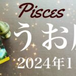 【うお座】2024年11月♓️冗談抜きで凄いかも…！鳥肌出るほどの並び方、不可能が可能に！殻を破る後押し、遂に始動、現実化する新世界