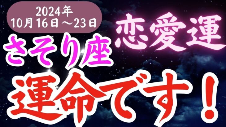 【蠍座】2024年10月16日～23日さそり座の恋愛運を変える！蠍座の1週間恋愛運アドバイス🔮✨