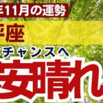 【天秤座】2024年11月てんびん座の運勢にタロット占い＆占星術で迫る～大きなチャンスへ不安晴れる～