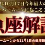 ♓️魚座♓️スーパームーンの運勢　2024年10月17日牡羊座満月から11月1日蠍座新月までの魚座さんの運勢