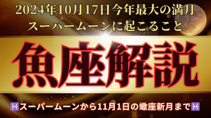 ♓️魚座♓️スーパームーンの運勢　2024年10月17日牡羊座満月から11月1日蠍座新月までの魚座さんの運勢