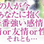 🔮恋愛タロット🌈あの人が今、あなたに抱く一番強い感情は、愛情 or 友情 or 性欲❔🌈お相手の隠れた本心が明らかに⁉️深掘りリーディング❗複雑恋愛・三角関係・音信不通・疎遠・片思い・曖昧な関係等…