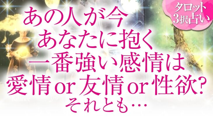 🔮恋愛タロット🌈あの人が今、あなたに抱く一番強い感情は、愛情 or 友情 or 性欲❔🌈お相手の隠れた本心が明らかに⁉️深掘りリーディング❗複雑恋愛・三角関係・音信不通・疎遠・片思い・曖昧な関係等…