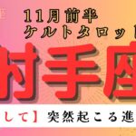 【覚悟して🥹】突然起こる進展とは　射手座　11月前半ケルトタロット占い#星座 #星座占い #タロット#ケルト#恋愛