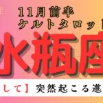 【覚悟して🥹】突然起こる進展とは 水瓶座　11月前半ケルトタロット占い#星座 #星座占い #タロット#ケルト#恋愛#タロットカード