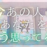 今あの人はあなたをどう思ってる？あなたに伝えたいこと 【恋愛・あの人の気持ち・タロット・オラクル・占い】