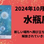 【水瓶座】新しい場所へ飛び立つ！解放されていきます🪽【みすがめ座2024年10月16〜31日の運勢】