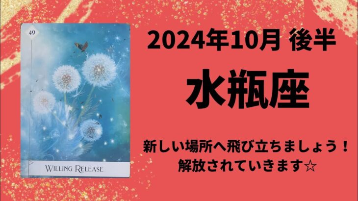 【水瓶座】新しい場所へ飛び立つ！解放されていきます🪽【みすがめ座2024年10月16〜31日の運勢】