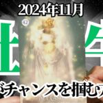 【おうし座♉️2024年11月】🔮タロットリーディング🔮  〜この姿勢を持つことでチャンスがどんどん掴めるようになります✨〜