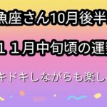 「魚座さん」10月後半から１１月中旬頃の運勢♪素敵な流れがやって来ています♪楽しんで泳いで行きましょう✨✨✨