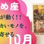 これは、間違いない！！奇跡はすでに始まっています。【10月の運勢　乙女座】