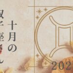 【双子座さん♊︎】2024年10月の星座リーディング🌸🌱