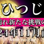 おひつじ座♈︎2024年11月前半 我慢が終わる🔥雲が晴れ新たな挑戦が始まる　Aries tarot  reading