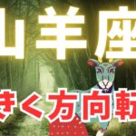 【山羊座11月占い】大変な時はもうすぐ終わる‼️新しいことの始まり‼️