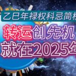 紫微斗数分享 | 2025乙巳年禄权科忌运势简析| 翻转人生新契机就在2025！|把握优势创造先机 | #紫微斗数 #2025年运势 #2025蛇年运程