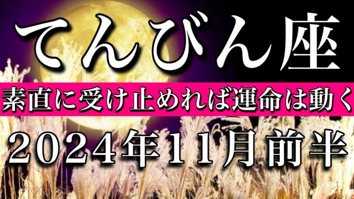 てんびん座♎︎2024年11月前半 疑わないで！素直に受け止めれば運命は動く🔥Libra tarot  reading