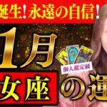 【乙女座】11月運勢❤️激変！新しい私誕生！永遠の自信や強さが！準備万端へ！来年凄いかも！！？愛/仕事/金運/人間関係/健康✨