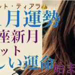 「11月の運勢・蠍座新月でリセットされて新しい運命が始まる（金運、仕事運、人間関係）」