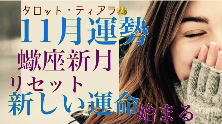 「11月の運勢・蠍座新月でリセットされて新しい運命が始まる（金運、仕事運、人間関係）」