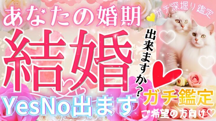 【💗あなたの結婚💗占います💗マジレス見逃し厳禁！👀】忖度一切なし♦︎有料鑑定級♦︎