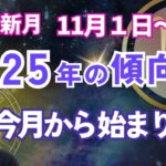 【2025年は今月から始まる‼️】蠍座新月⭐️生まれ変わる準備はできていますか❓‼️