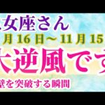 【乙女座】 2024年10月16日から11月15日までのおとめ座の運勢。星とタロットで読み解く未来 #乙女座 #おとめ座