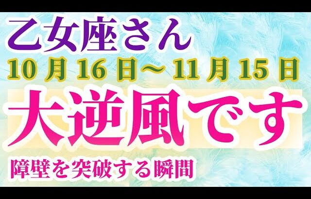 【乙女座】 2024年10月16日から11月15日までのおとめ座の運勢。星とタロットで読み解く未来 #乙女座 #おとめ座