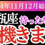 【水瓶座】2024年11月・12月みずがめ座の運勢。水瓶座の星とタロットが示す解放と新たな始まり」