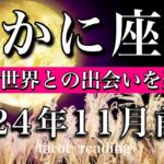 かに座♋︎2024年11月前半 自分は受け入れられている🔥新たな世界との出会いを楽しむ💫Cancer  tarot  reading