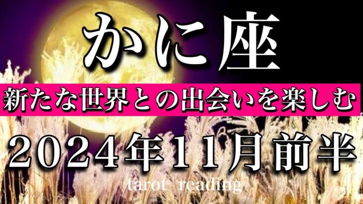 かに座♋︎2024年11月前半 自分は受け入れられている🔥新たな世界との出会いを楽しむ💫Cancer  tarot  reading