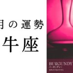 【牡牛座🍁11月の運勢】予想もしない大変化がおうし座を待っている！！2024年タロット占い