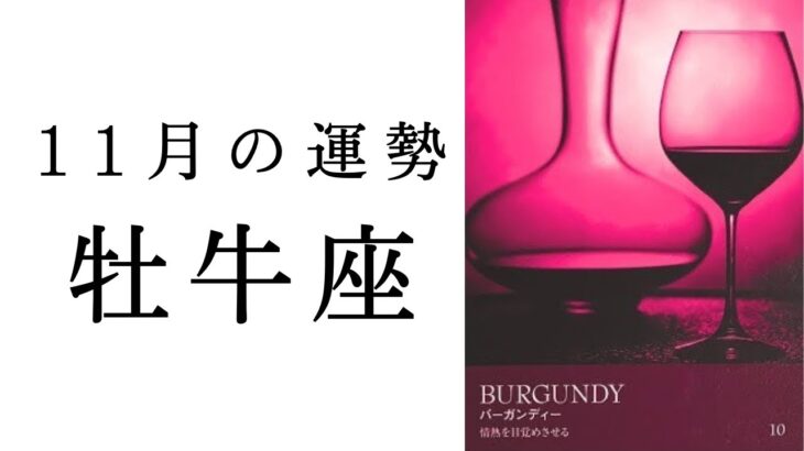 【牡牛座🍁11月の運勢】予想もしない大変化がおうし座を待っている！！2024年タロット占い