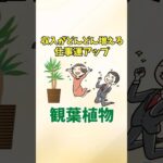 収入がドンドン増える！仕事運アップ観葉植物5選【風水アドバイザーがご紹介】#shorts