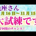 【魚座】 2024年10月16日から11月15日までのうお座の運勢。星とタロットで読み解く未来 #魚座 #うお座