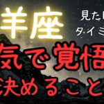 山羊座♑️決めたら掴める幸せの道✨✨✨