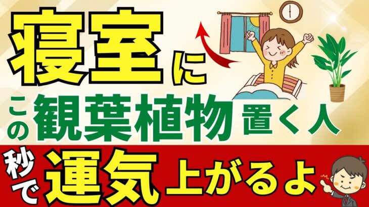 急激に運気アップします！寝室にこの観葉植物【風水アドバイザーが解説】