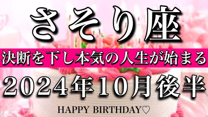 さそり座♏︎2024年10月後半 お誕生日おめでとうございます🎊㊗️正しい判断を下し本気の人生が始まる🔥Scorpio tarot  reading