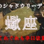 蠍座10月〜11月【シャドウ】確実に前進している🌈魔女のシャドウリーディング🌗