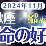 【蠍座】11月さそり座の運勢をタロットと星読みで明らかにする〜運命が好転する月〜