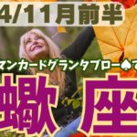 ❤️🕊️【さそり座♏さん】🌄《11月1日～11月15日》11月前半リーディング🌱2024年12星座別🔮蠍座運勢✨♠ルノルマンカードグランタブロー♠タロットカード・オラクルカードでもみていきましょう🔮