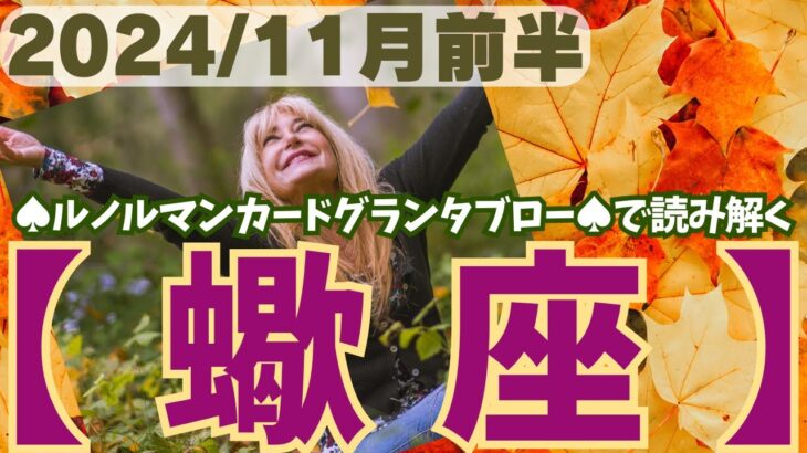 ❤️🕊️【さそり座♏さん】🌄《11月1日～11月15日》11月前半リーディング🌱2024年12星座別🔮蠍座運勢✨♠ルノルマンカードグランタブロー♠タロットカード・オラクルカードでもみていきましょう🔮