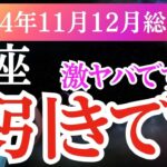 【蠍座】2024年11月と12月さそり座の運命が大きく動き出す予感。タロットと星が示す未来を受け取り、蠍座の最高の2か月を過ごしましょう！