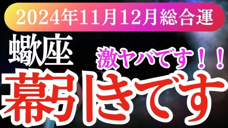 【蠍座】2024年11月と12月さそり座の運命が大きく動き出す予感。タロットと星が示す未来を受け取り、蠍座の最高の2か月を過ごしましょう！