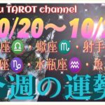 どうなる⁉️【10/20〜10/26週間リーディング】天秤座♎️蠍座♏️射手座♐️山羊座♑️水瓶座♒️魚座♓️#2024 #星座別 #タロット占い