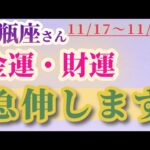 【水瓶座】 2024年11月17日から30日までのみずがめ座の金運・財運。星とタロットで読み解く未来 #水瓶座 #みずがめ座 #金運