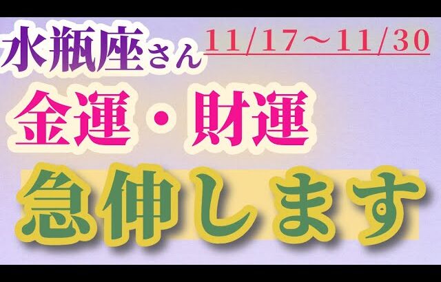 【水瓶座】 2024年11月17日から30日までのみずがめ座の金運・財運。星とタロットで読み解く未来 #水瓶座 #みずがめ座 #金運