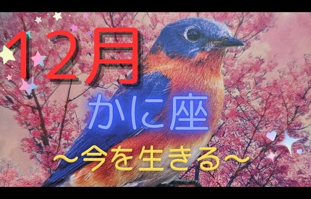 蟹座♋1２月⭐幸せ探しではなく幸せであることに気付く🌟内側からの想いを今この瞬間を大事に💗✨️