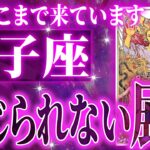 鳥肌が…双子座さんに訪れる大展開♊️これから必ず飛躍していきます【鳥肌級タロットリーディング】