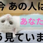 今あの人はあなたの事をこんな風に見ています。恋愛タロット占い 個人鑑定級に当たる！細密リーディング