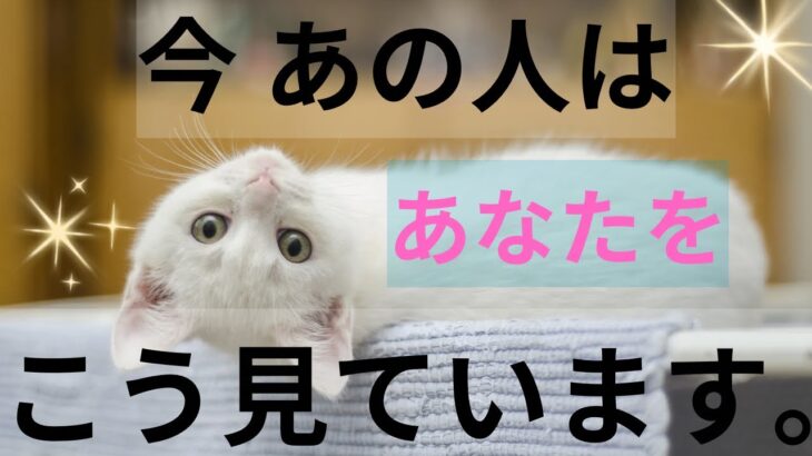 今あの人はあなたの事をこんな風に見ています。恋愛タロット占い 個人鑑定級に当たる！細密リーディング